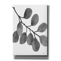 Epic Graffiti 'Leaves in Gray I' by Cindy Jacobs, Canvas Wall Art, 18"x26"