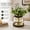 Vase+greenery+light, variant on Rustic Farmhouse Table Centerpiece with Artificial Eucalyptus & Fairy Lights, Glass Vase in Metal Lantern Frame, Battery Operated Ambient Decor for Home and Kitchen, 13.4" Tall