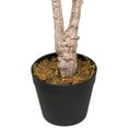 thumbnail image 6 of Northlight Artificial Lemon Tree In Black Pot with Faux Moss - 45", 6 of 9