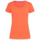 thumbnail image 1 of Stedman - Camiseta de cuello redondo modelo Claire para mujer (Blanco), 1 of 2