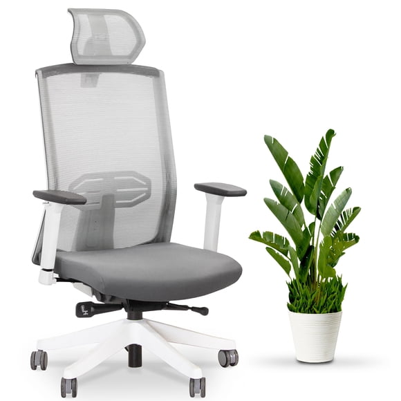 EFFYDESK KarmaChair Meilleure Chaise de Bureau Ergonomique avec Soutien Lombaire Réglable et Dossier en Maille (Blanc)