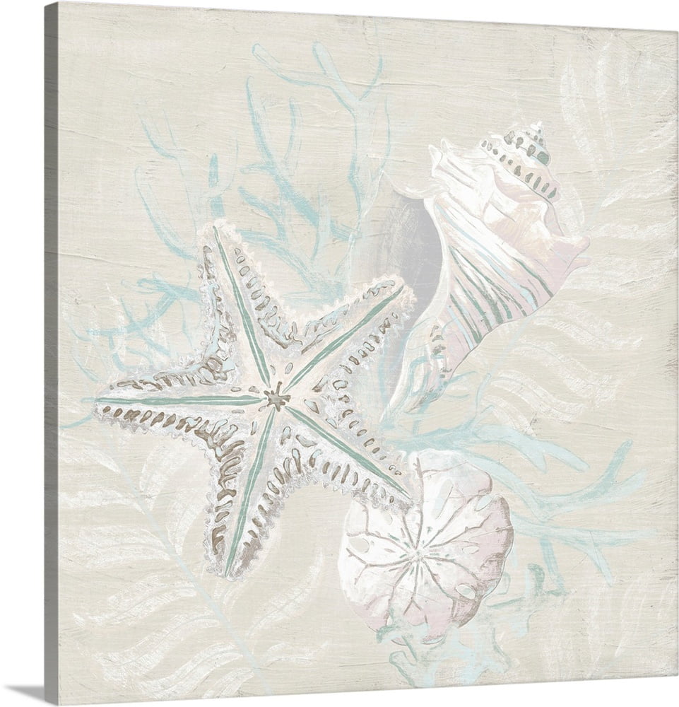 Weathered Shell Sketch I | Canvas Wall Art, Coastal Home Decor | 16x16