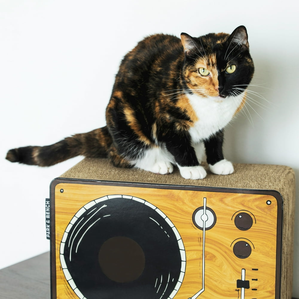 turntable cat scratcher