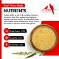 thumbnail image 4 of Morning Bird Hulled Millet 9 lbs – Nutritious Hulled Millet Seed, Easily Digestible with High Fiber, Rich in Vitamins and Supplements for Birds, Ideal Bird Feed for All Bird Types., 4 of 6