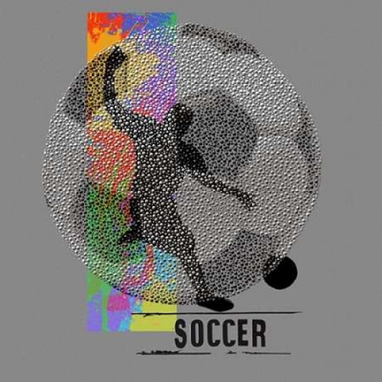 Soccer Canvas Art -