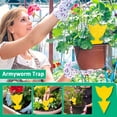 thumbnail image 2 of ACDANC Fruit Fly Traps,Fungus Gnat Traps,Yellow Sticky Bug Traps,50 Pcs Non-Toxic and Odorless for Indoor Outdoor Use, 2 of 9