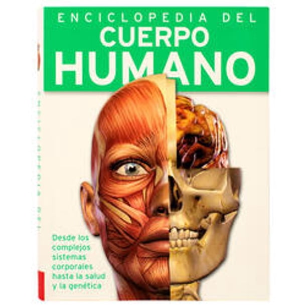Libro Enciclopedia Infantil: 384 Paginas Enciclopedia Del Cuerpo Humano Tapa Blanda, Autor Jhon, Editorial Silver Dolphin (en Español)
