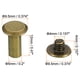 thumbnail image 2 of 100 Conjuntos de Tornillos Chicago, M5x12mm Tornillo de Poste de Sujeción Phillips con Recubrimiento de Latón para Cuero, Marrón, 2 of 7