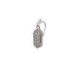 Lee Silver Earrings in Multi Drusy