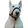 Dog Head Collar Halter Black 6 Sizes (XS 4"7" Snout)