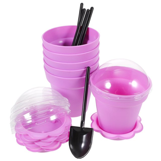Vasos de papel, mousse, maceta, pastel, maceta, tierra para macetas, púrpura, PP