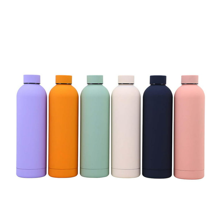 Insulated Water Bottle with Handle Vacuum Tea Lightweight Bottle for  Outdoor Yoga Hiking Travel Backpacking Violet 500ml 