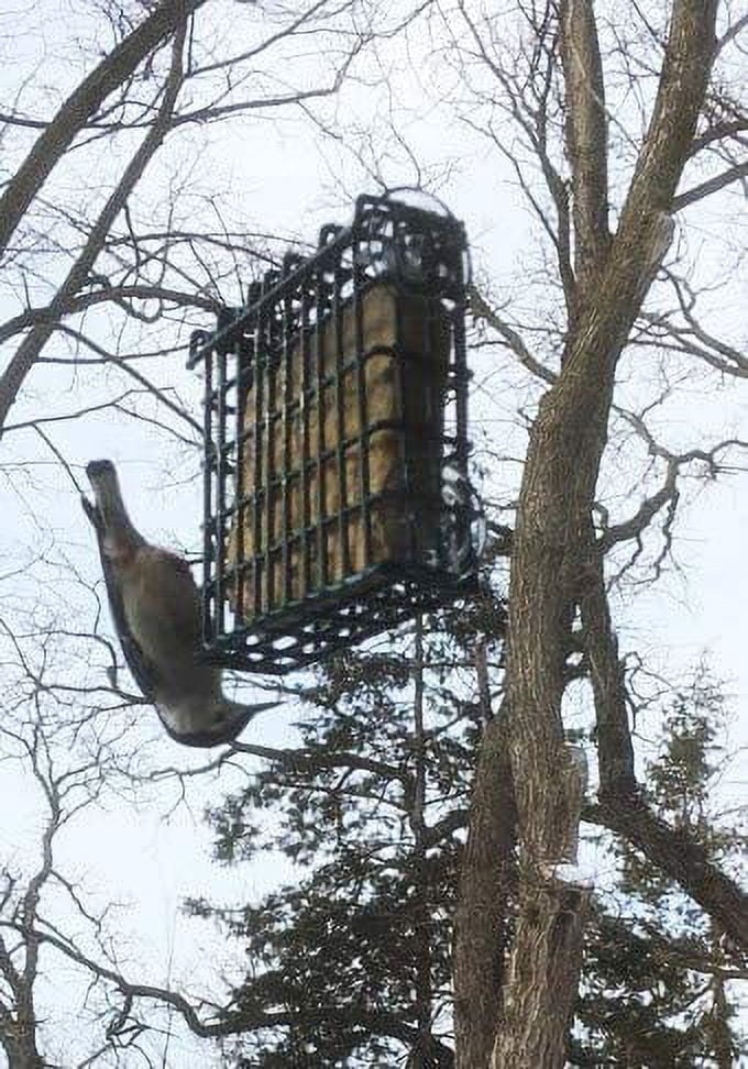 Wildlife Sciences W60 256 Suet Plus Mega Mix - Pack of 15