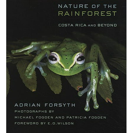 Nature of the Rainforest : Costa Rica and Beyond