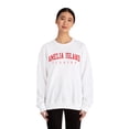 thumbnail image 4 of Amelia Island Florida Sweatshirt Gifts Crew Neck Shirt Long Sleeve Unisex, 4 of 4