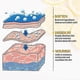 thumbnail image 3 of Foot Peeling Spray Oil, Foot Peeling Spray for Remove Dead Skin, Pedicure Dead Skin Exfoliator for Cracked Rough Heels, Dry Toe Skin & Calluses, Quick, 3 of 5