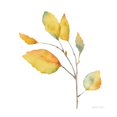 thumbnail image 2 of Coulter, Cynthia 26x26 White Modern Wood Framed Museum Art Print Titled - Modern Leaf Study on White II, 2 of 4