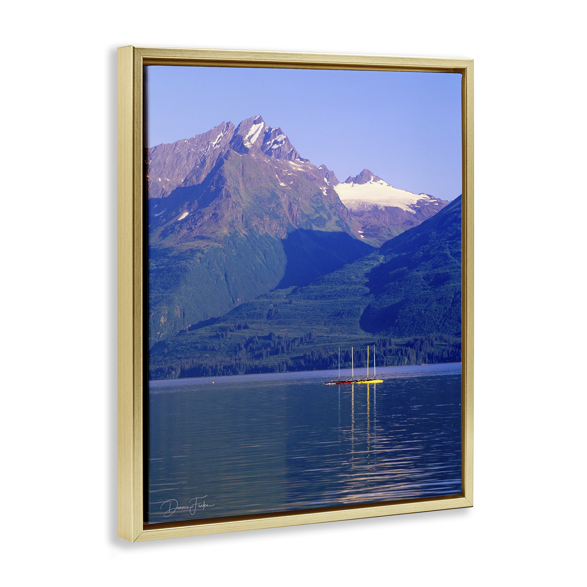 Stupell Industries Lake View Photography Landscape Photography Gold Floater Framed Art Print Wall Art, 25 x 31