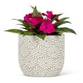 thumbnail image 3 of Jardinière à Motif de Marguerites Blanches, 3 of 5