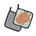 thumbnail image 2 of Carolines Treasures SB3023PTHD Pair of Pot Holders, 7.5HX7.5W, multicolor, 2 of 2