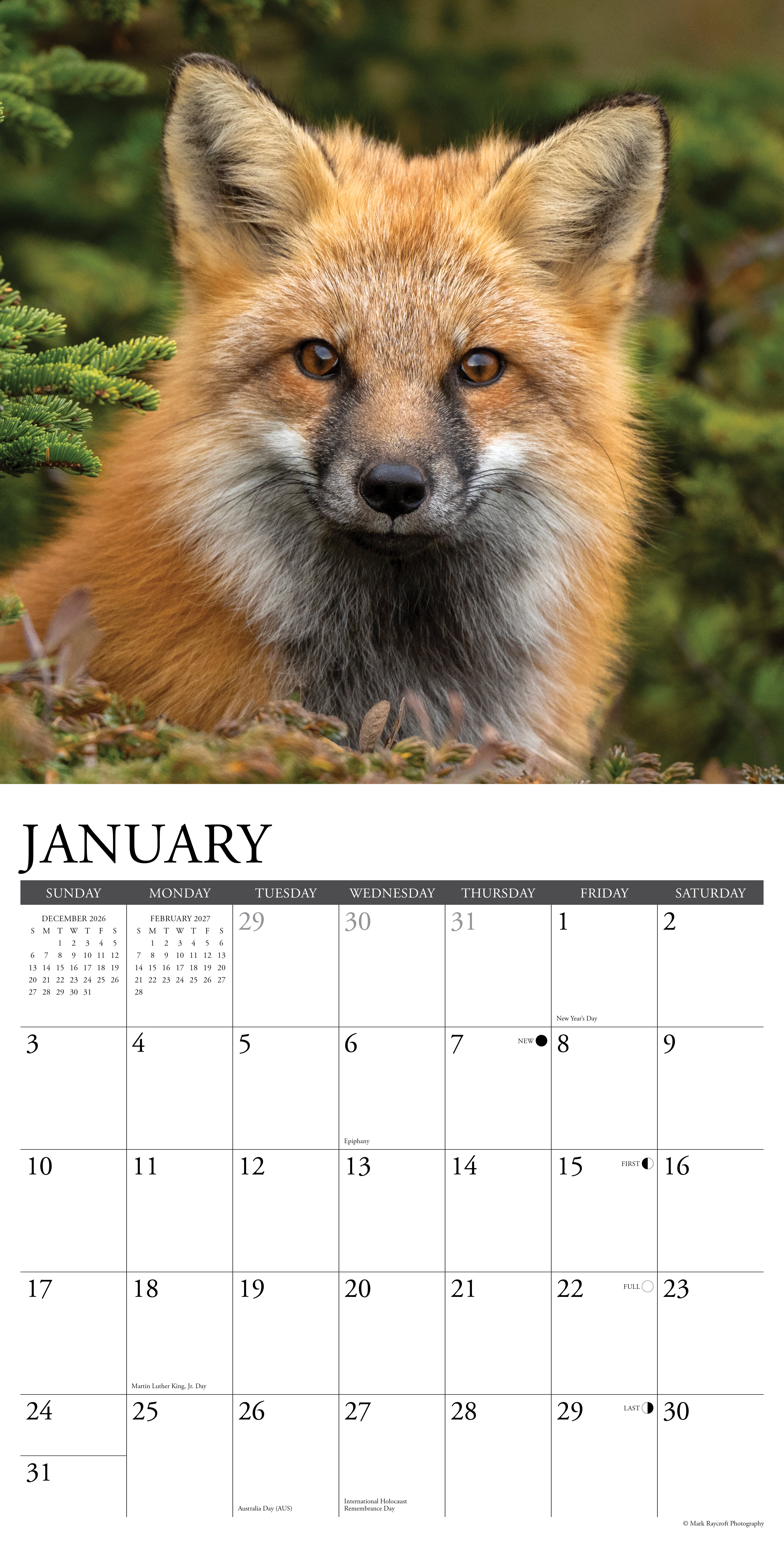 Willow Creek Press, Foxes 2027 Wall Calendar