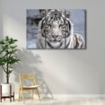 thumbnail image 2 of TISHIRON 3PCS Framed Canvas Wall Art Set,36"x24"White Bengal Tiger Canvas Art Decor, 2 of 6