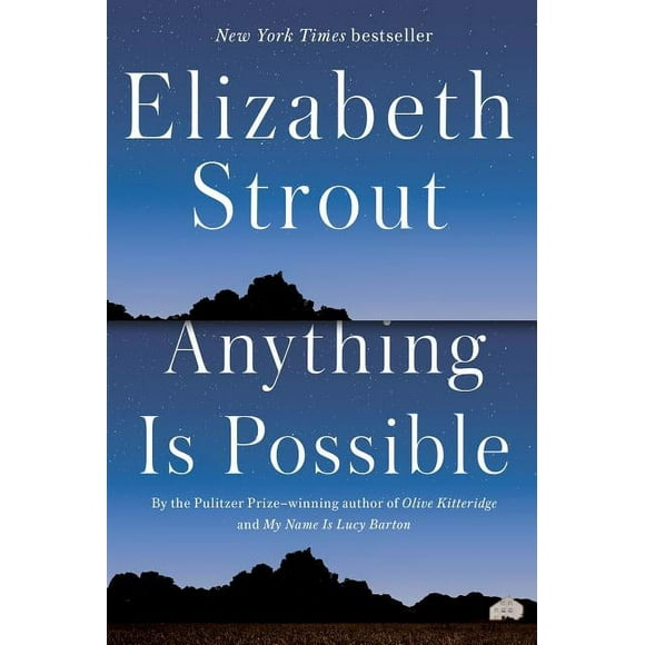 Anything Is Possible : A Novel (Hardcover)