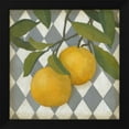 thumbnail image 2 of Megan Meagher 15x15 Black Modern Wood Framed Wall Art Titled - Fruit and Pattern IV, 2 of 6