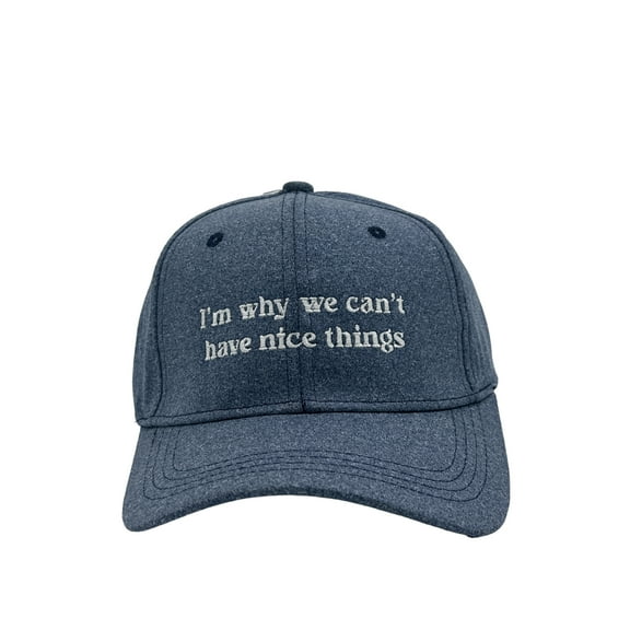 Im Why We Cant Have Nice Things Hat Funny Sarcastic Baseball Cap