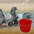thumbnail image 4 of Oiur 10 Pcs Chicken Cage Cups Hanging Feeding Cups Bird Food Bowls Bunny Cage Feeding Bowl for Pet Parrot Poultry Pigeon Wire Cage,Red, 4 of 7