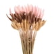 thumbnail image 1 of Uxcell 120 piezas de flores secas de cola de conejo natural 17" Beige, Rosa oscuro, Marrón oscuro rojo, 1 of 6