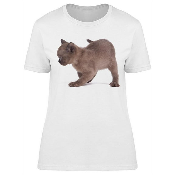 Cute Cat Looking At The Ground T-Shirt Women -Image by Shutterstock, Female XX-Large
