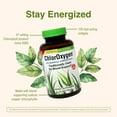 thumbnail image 4 of Herbs etc - chloroxygen chlorophyll concentrate professional strength alcohol free - 120 softgels, 4 of 7