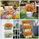 thumbnail image 3 of Toystoory 5 pack/lote hermosas margaritas artificiales flores y plantas de imitación para interior Decoración Rojo ladrillo, 3 of 6