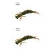 thumbnail image 2 of Wosthever 10 Uds. De cebos de insectos de simulación, señuelos de pesca portátiles, cebos de pesca suaves reutilizables, 100MM, tipo G GRAMO 100MM 2piezas Wosthever CBP149568, 2 of 6