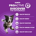 thumbnail image 6 of Iams Advanced Health Healthy Digestion Adult Dry Dog Food with Real Chicken, 4.5 lb Bag, 6 of 9