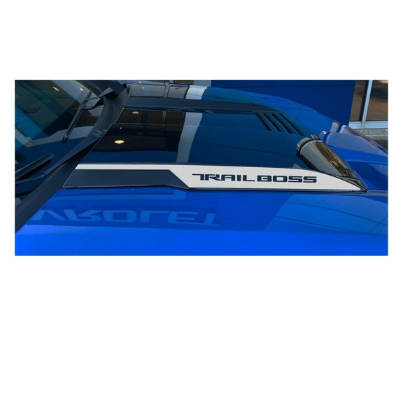 Chevy Silverado Silver TRAIL BOSS Hood Scoop Decals 2022-2025 Set of 2 - GM License