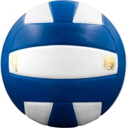 Perfection Leather Volleyball NFHS Stamped