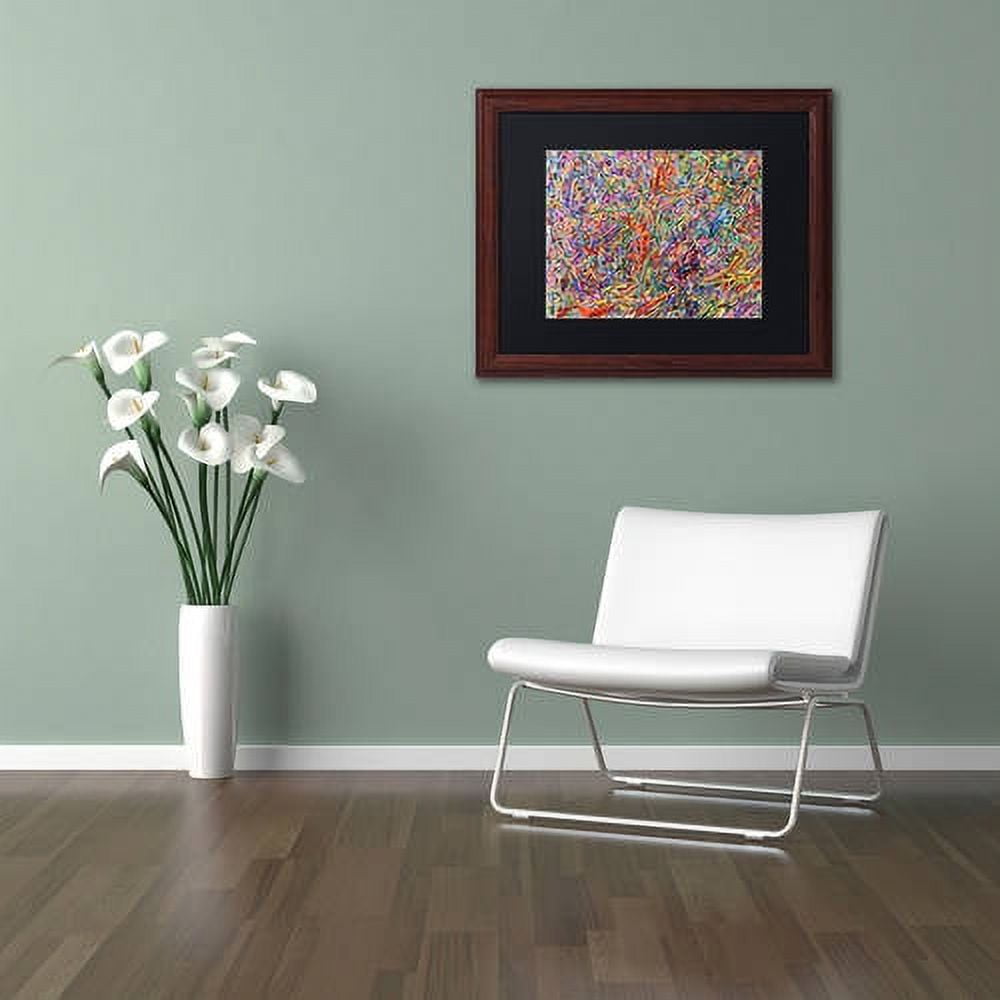Trademark Fine Art "Birds vs Aliens" Canvas Art by Josh Byer, Black Matte, Wood Frame