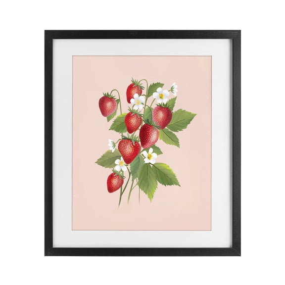 Stupell Industries French Country Cottage Garden Strawberries Black Framed Print Under Glass, 13 x 16, by Diane Neukirch