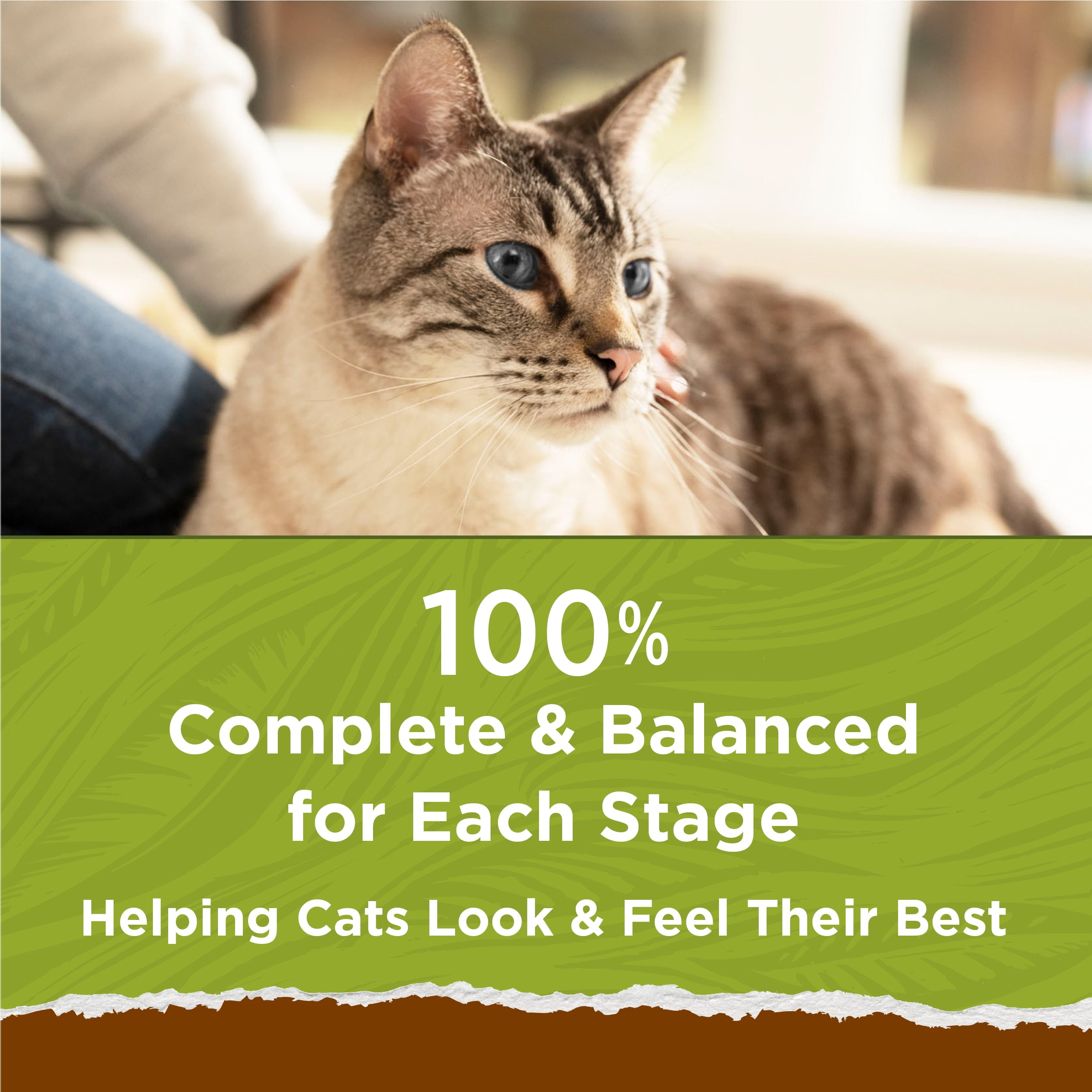 Purina Cat Chow Natural Grain Free Dry Cat Food, Naturals With Real Chicken - 3.15 lb. bag