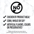 thumbnail image 3 of Nutro Grain Free Slow Cooked Chicken Paté Wet Dog Food, 3 of 6