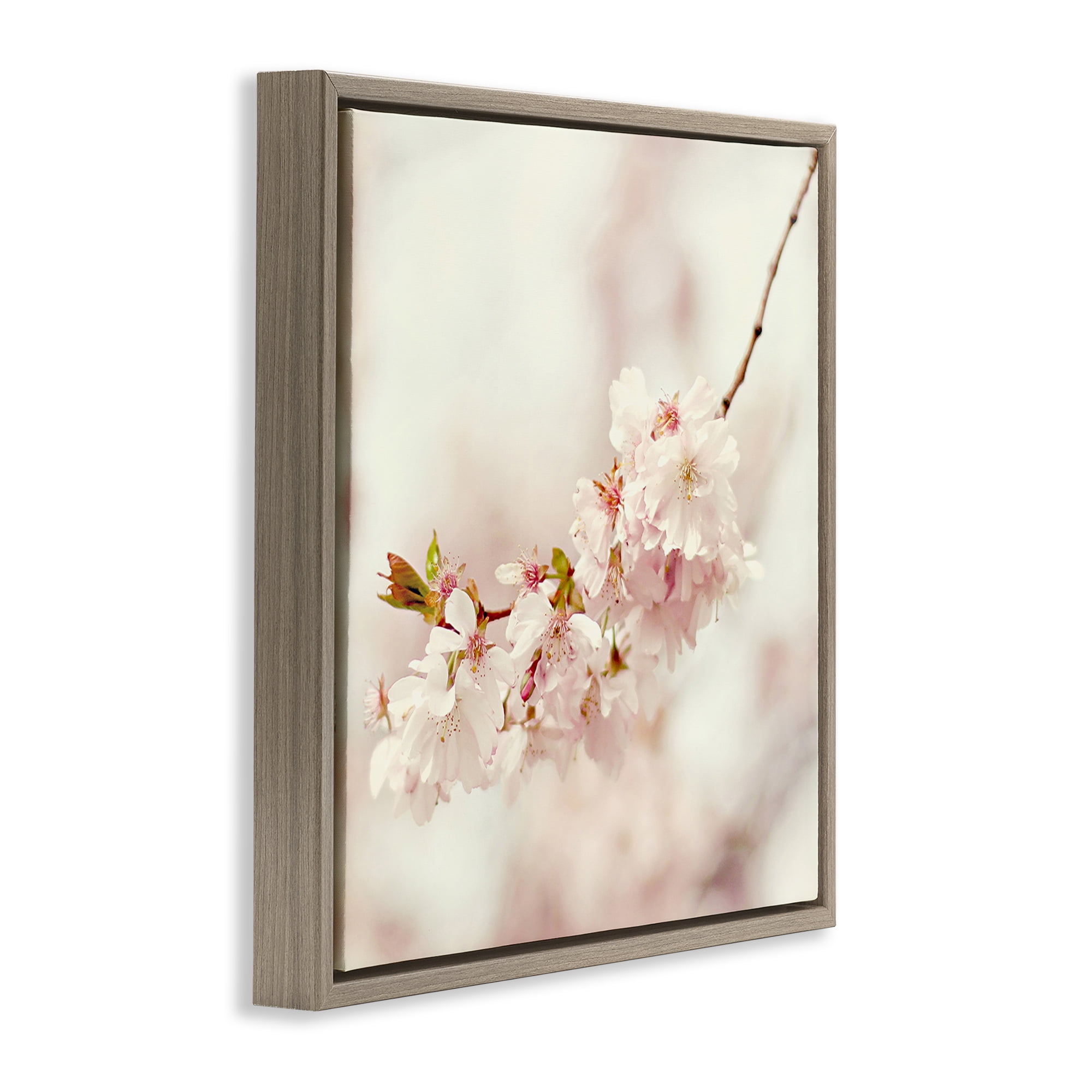 Stupell Industries Delicate Cherry Blossom Plants & Flowers Photography Brown Floater Framed Canvas Art Print Wall Art, 18 x 18