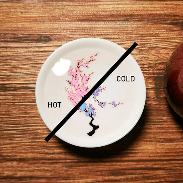 EGNMCR Cups Printing Flower Changes When Hot or Cold Color Changing Ceramic Coffee Cup Bowl Coffee Cup