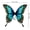 F, variant on Multi-Color Cosplay Wing Props For Halloween Party Decorations Polyester Adjustable Strap 1 Count