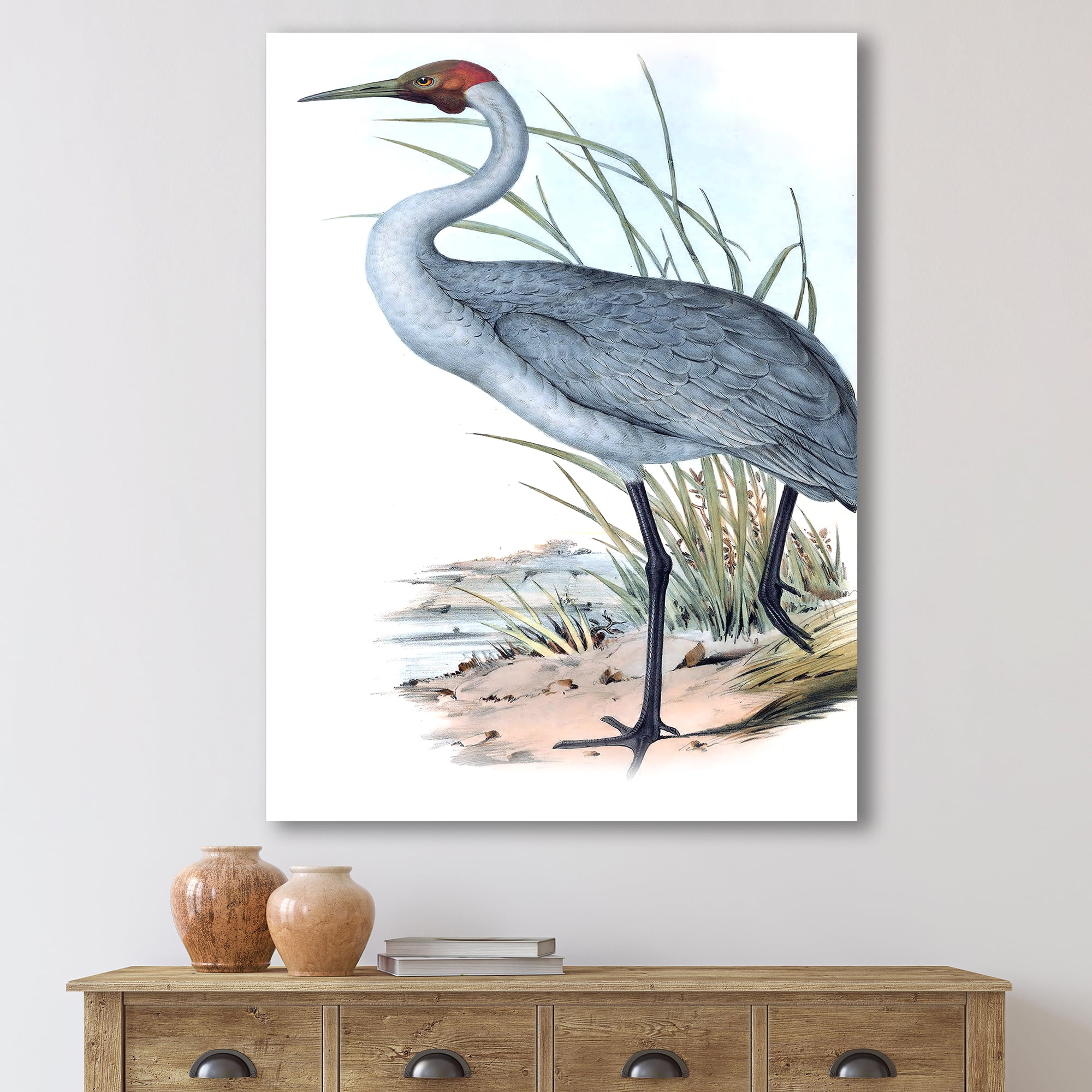 Designart ' Ancient Australian Birds V ' Traditional Canvas Wall Art Print