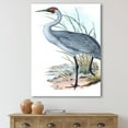 thumbnail image 2 of Designart ' Ancient Australian Birds V ' Traditional Canvas Wall Art Print, 2 of 4