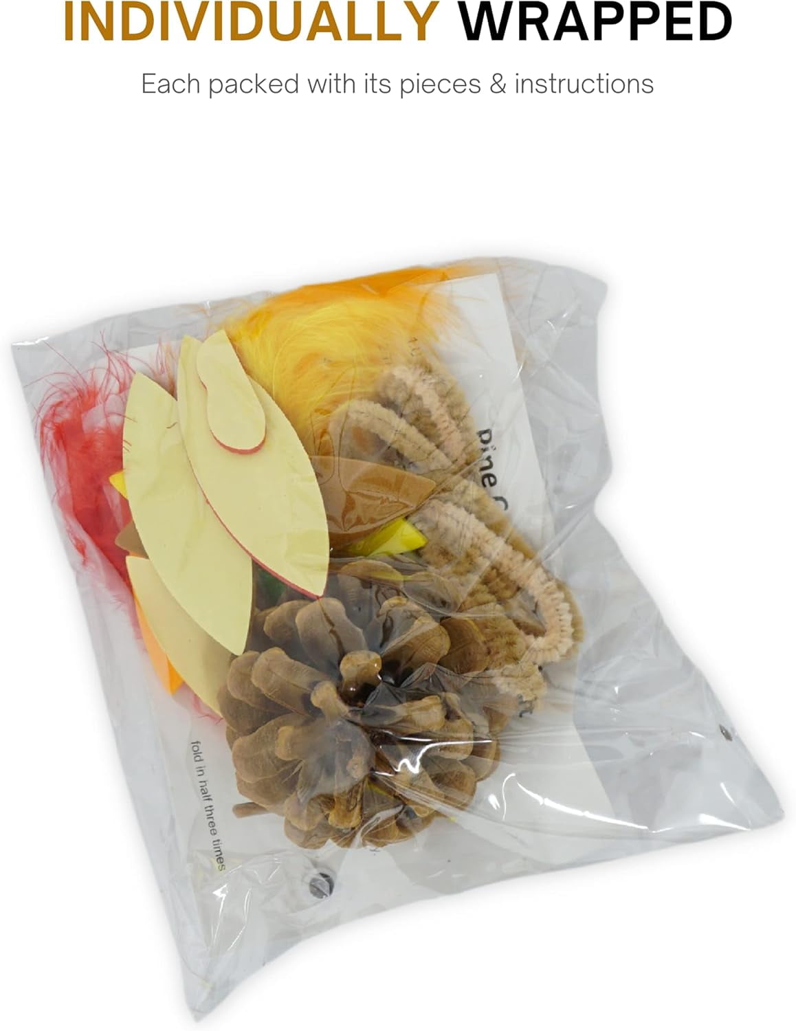 4E's Novelty 12 Pack Pinecone Turkey Craft Kit - DIY Thanksgiving Crafts for Kids & Adults, Turkey Arts and Crafts, Thanksgiving Table Decorations