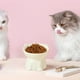 thumbnail image 4 of Comedero elevado de cerámica para gatos | Gran capacidad de 250 ml | Diseño ancho y poco profundo para aliviar la fatiga de los bigotes y brindar soporte al cuello | Comedero y bebedero fácil, 4 of 6