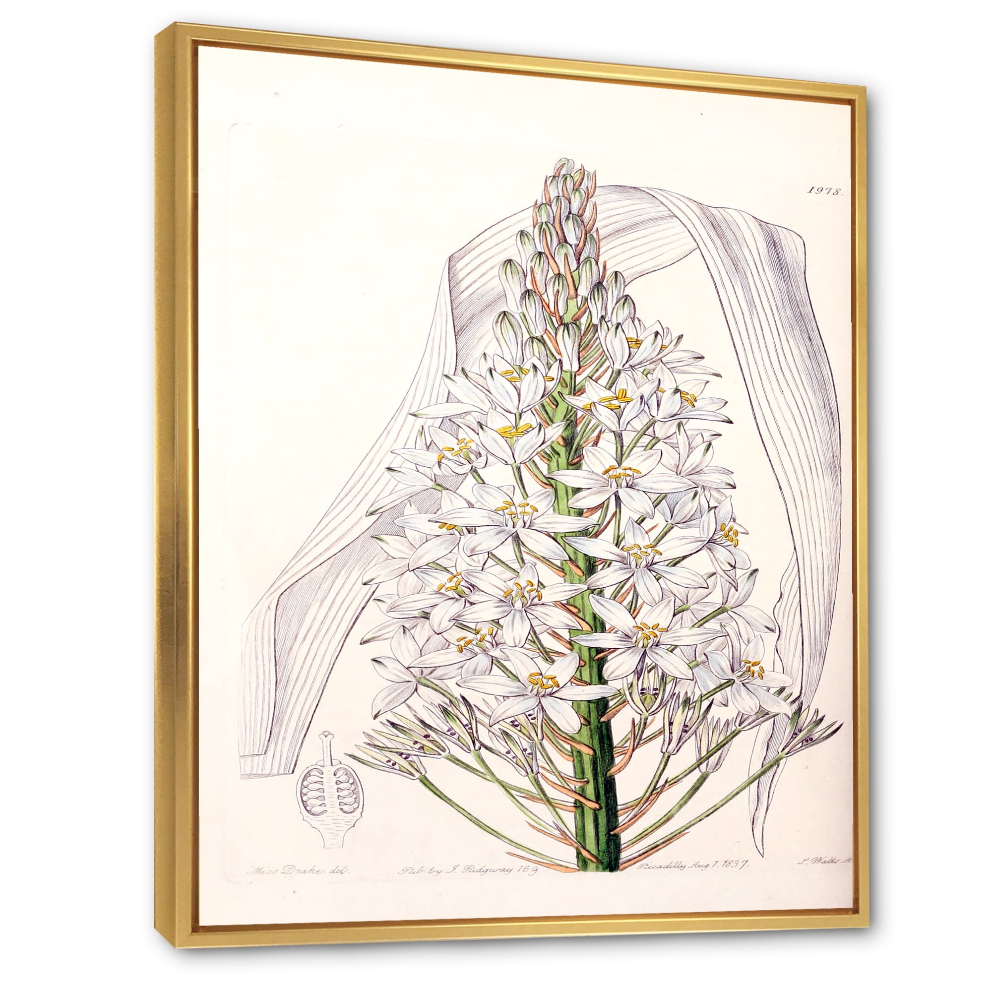 Designart 'White Vintage Orchid I' Traditional Framed Canvas Wall Art Print